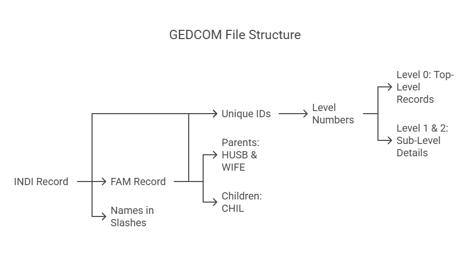 Illustration - GEDCOM - Explanation of the Key Records