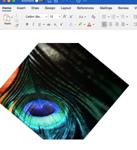 How to Resize an image in Word Document using Cshap