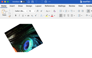 How to Rotate an Image File to Word Document in Csharp
