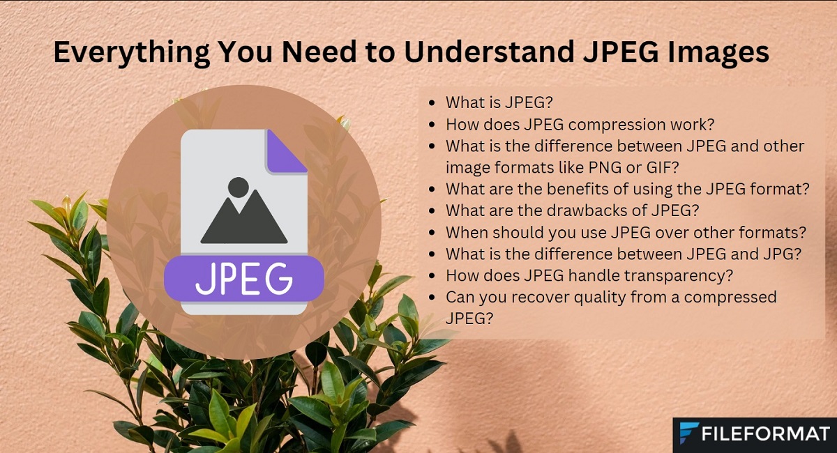 Title - Everything You Need to Understand JPEG Images