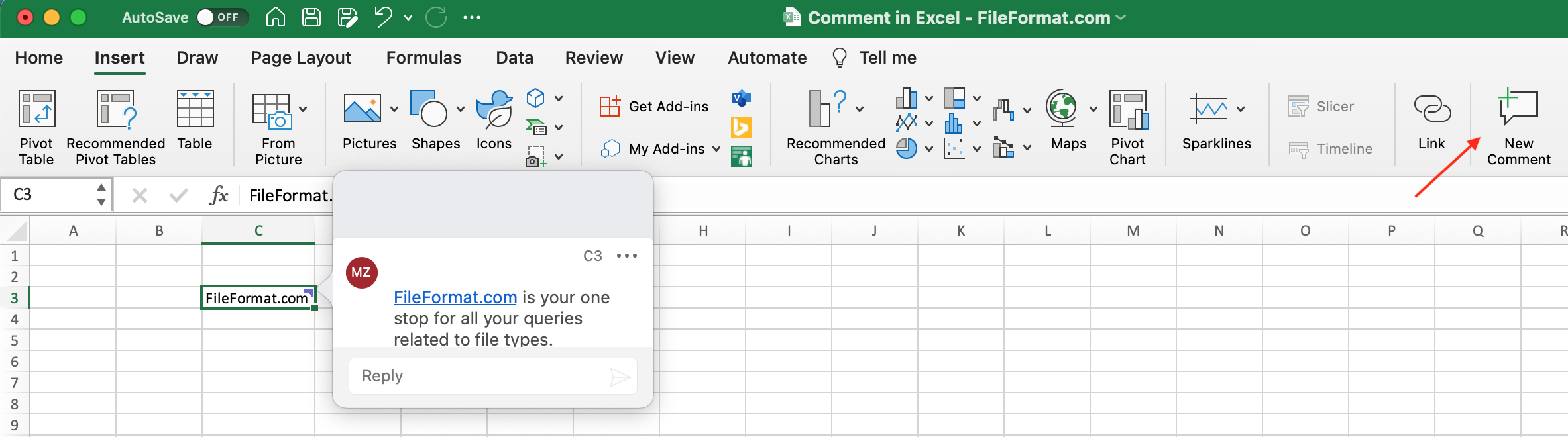 Comment-in-Excel-Workbook